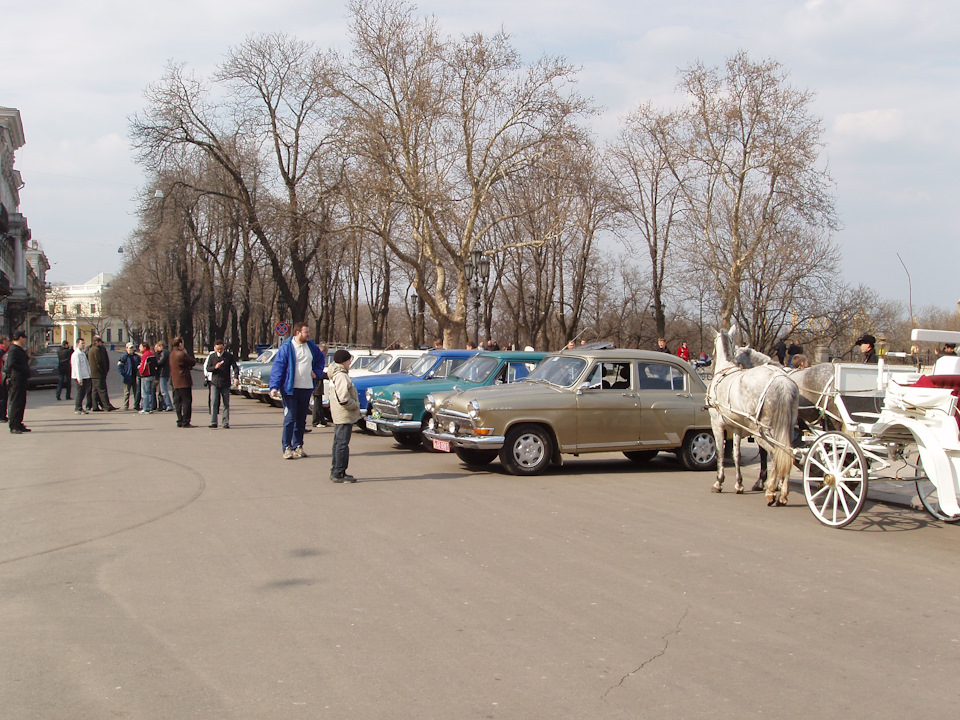Клубне життя і не тільки. Початок. 5