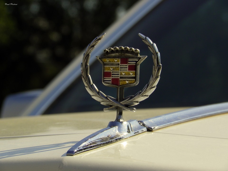 Old Car Fest (частина 2) 3