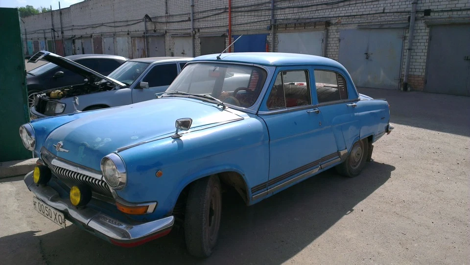 волжана дає життя