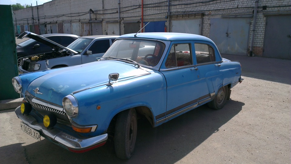 волжана дає життя 1