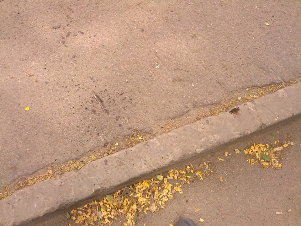 Сів на черево. 4