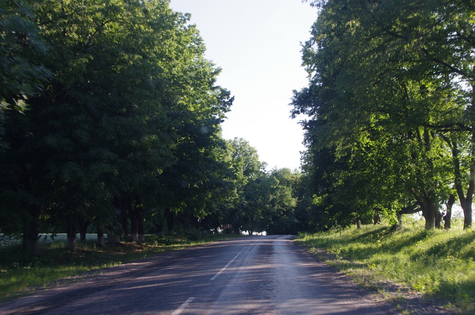 Канів 4