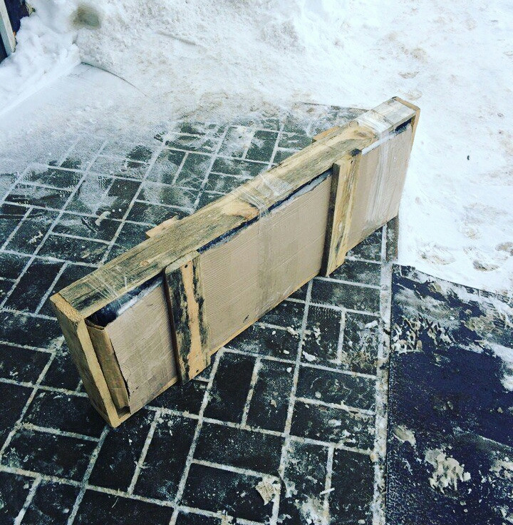 Довгоджаний усь 1