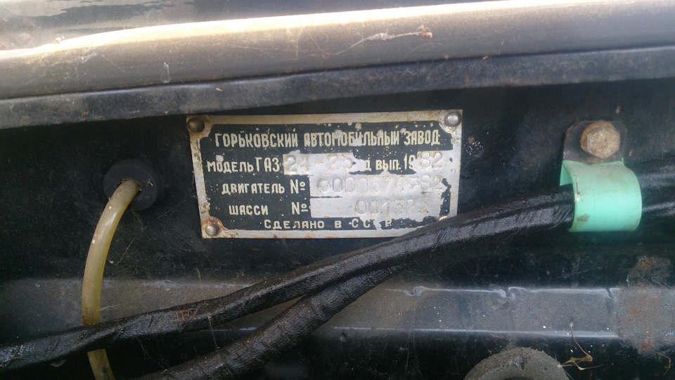 Приїхала полікувати дрібні болячки після зими 3