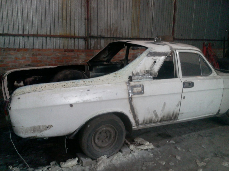 Плавники 1