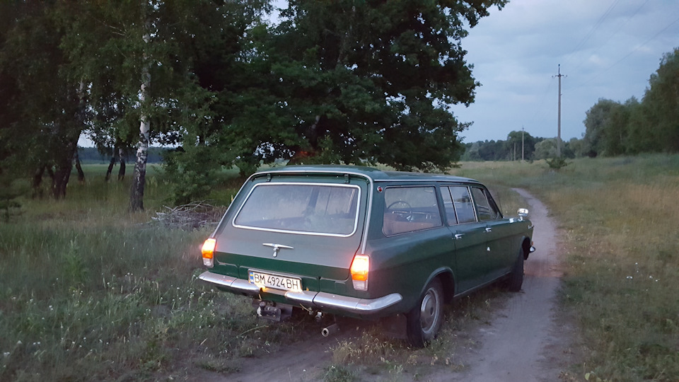 Поїздка за зеленню. 2