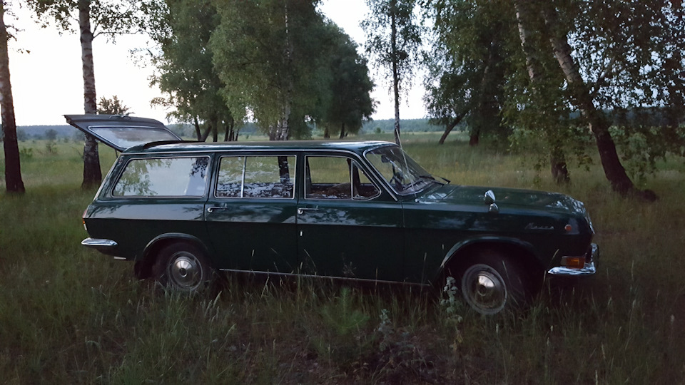 Поїздка за зеленню. 4