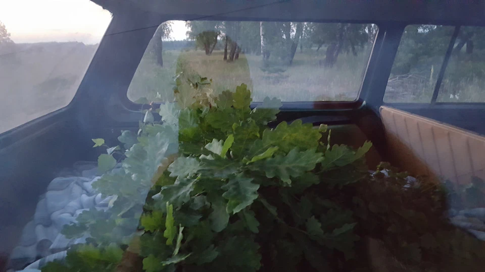Поїздка за зеленню.