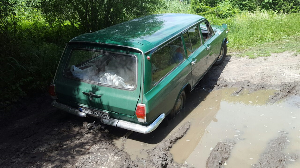 Навіщо підкрилки. 2