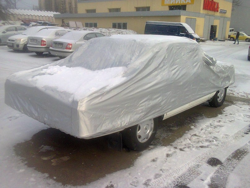 Сплячка 2