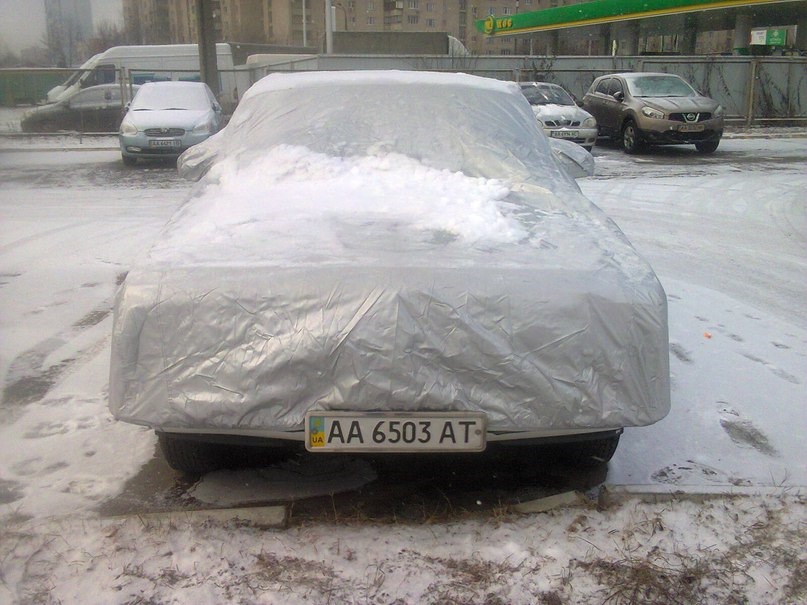 Сплячка 1