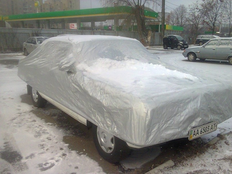 Сплячка 3