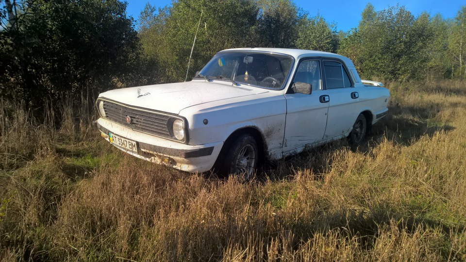 Гриби 1