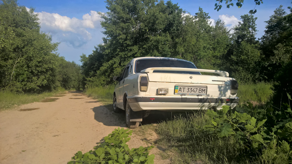 Гриби 2