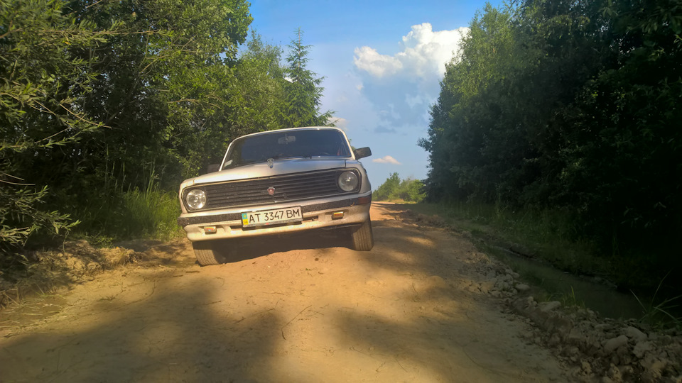 Гриби 3