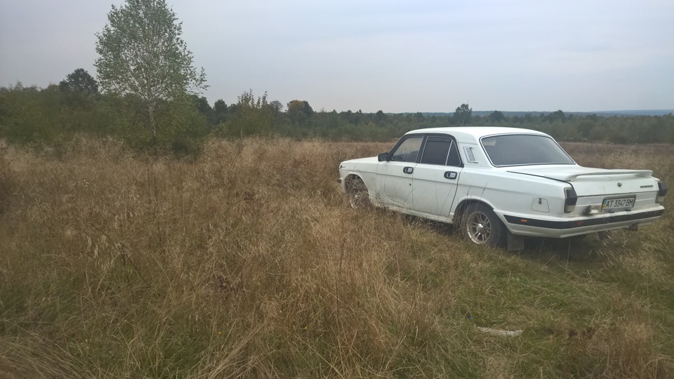 І знову гриби 4