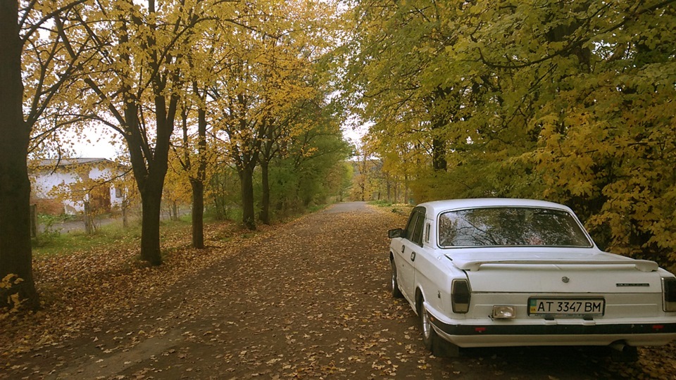 Осінь + знову заниження 2
