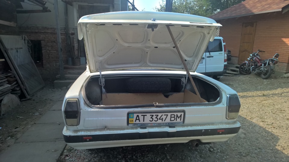торсіон 1