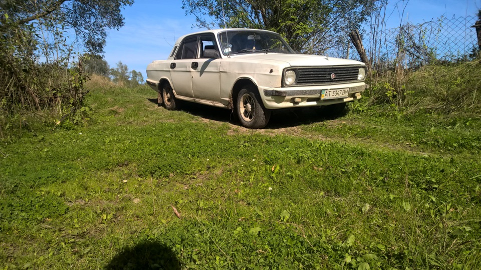 Трава 1