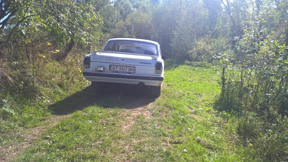 Трава 5