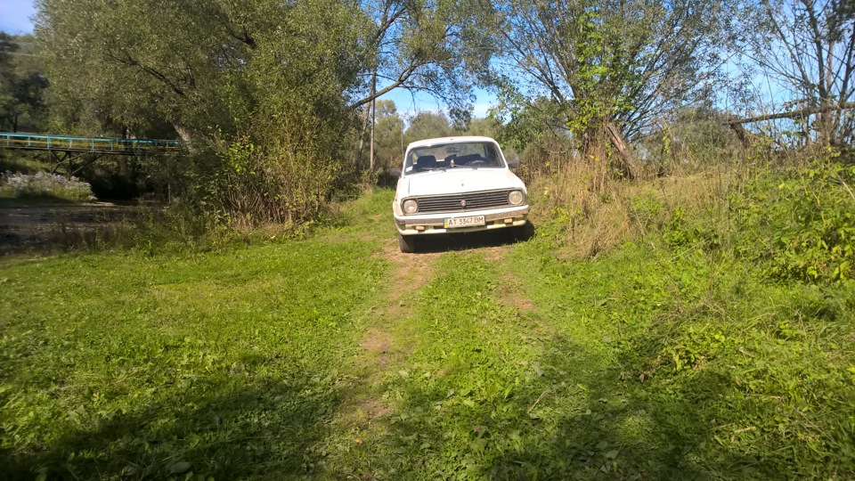 Трава 3