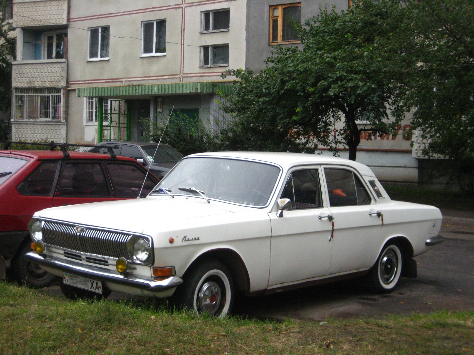 Олена Дасть… 5