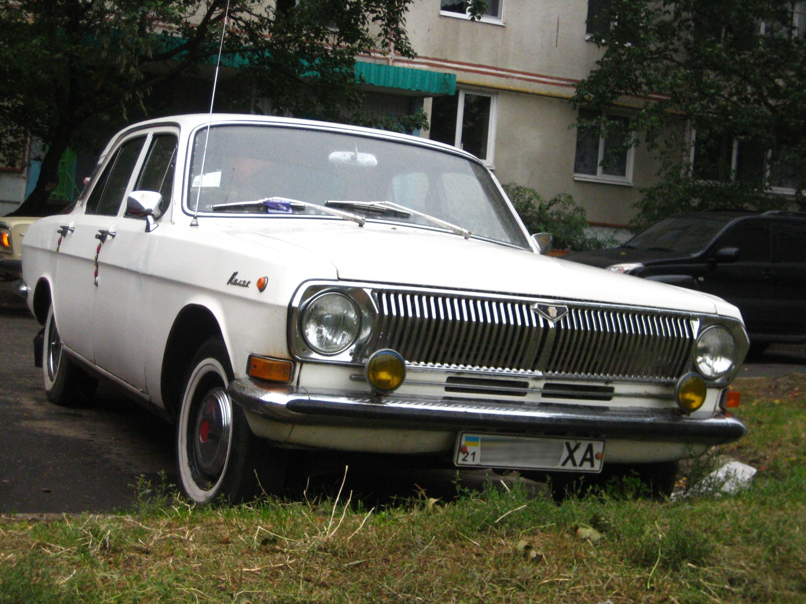 Олена Дасть… 4