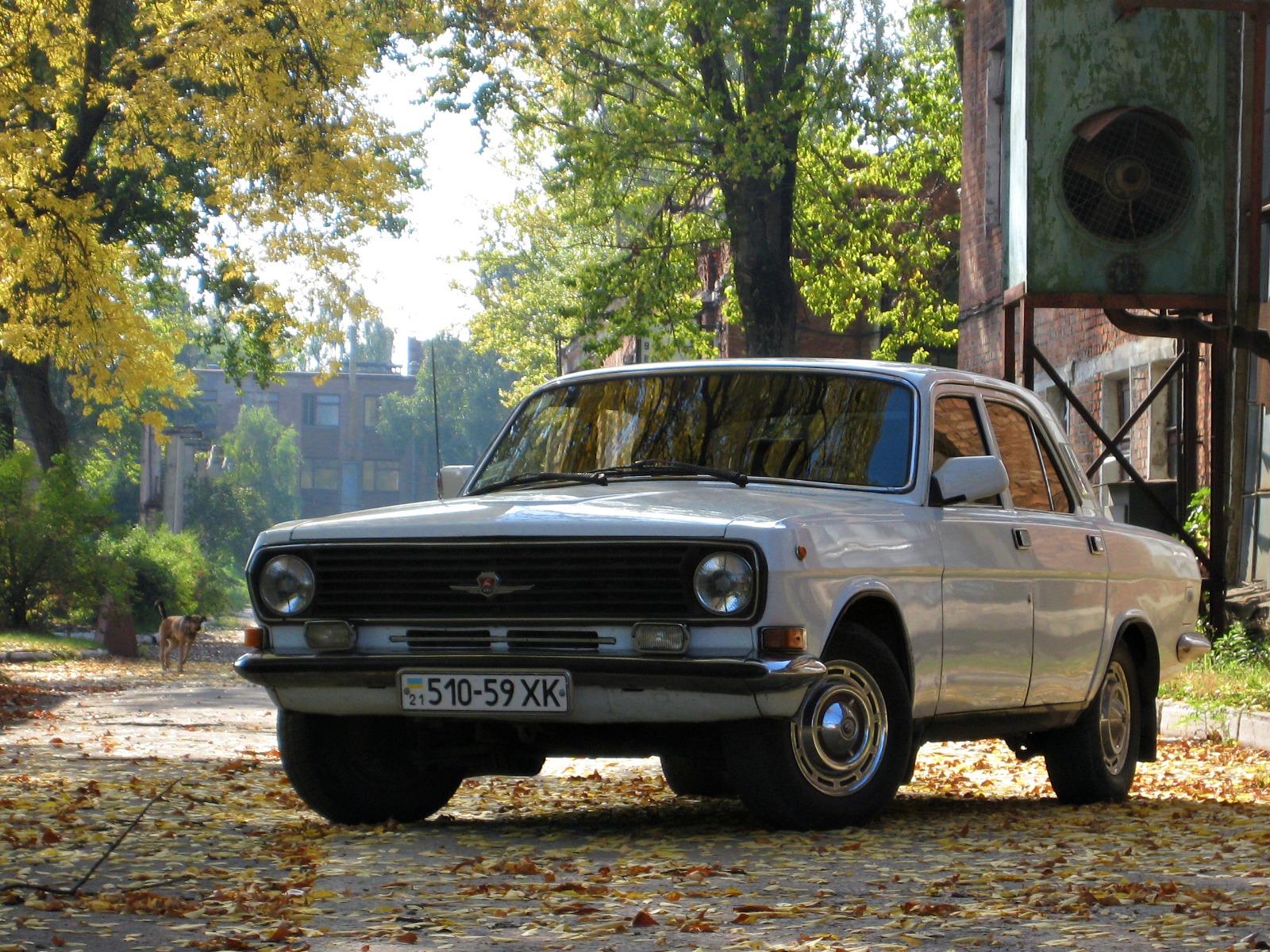 Чу-чу-ть Чорнобиля, чу-чу Осінь, чу-ть Тигра ... 3
