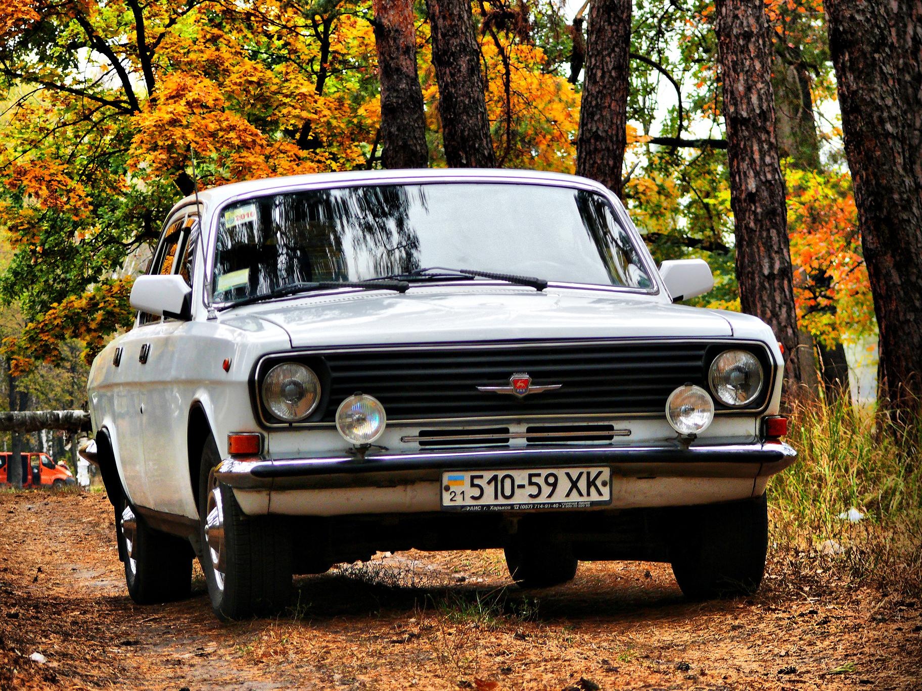 Волга, Осінь, Сосновий Ліс - HDR. 1