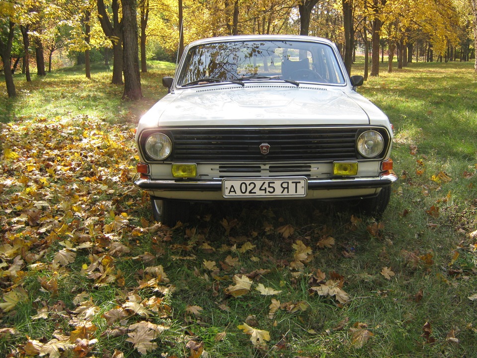 Осіння фотосесія частина 2 2