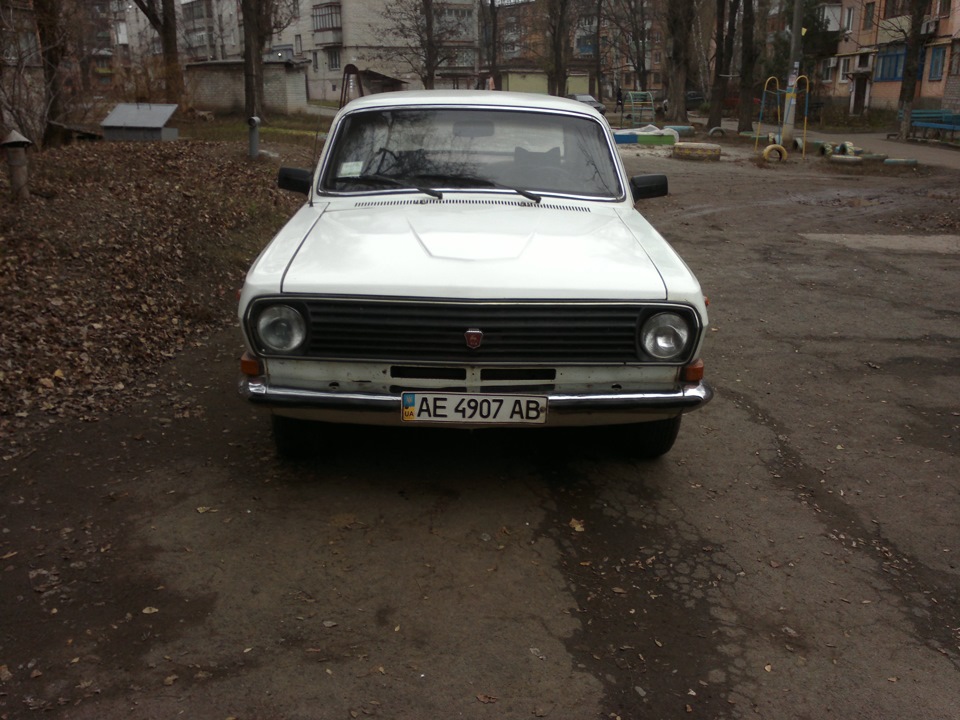 Купив Білу Красуню 2