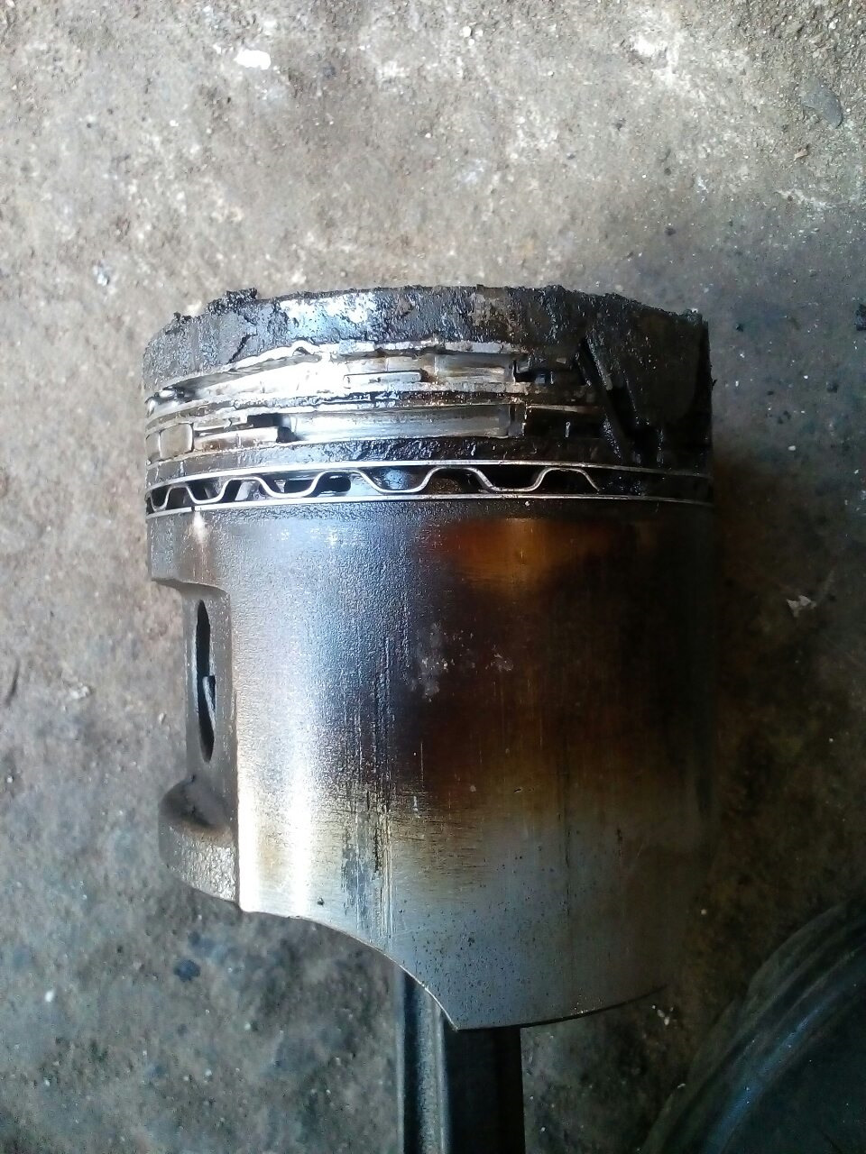 Дригач 3