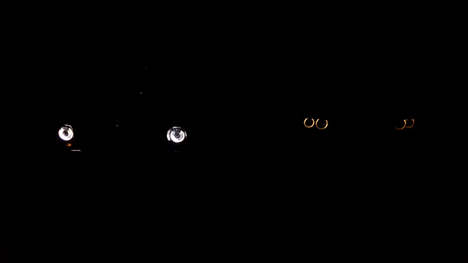 Пару фотографій 5