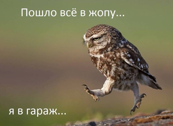 Піду як я в гараж))) 1