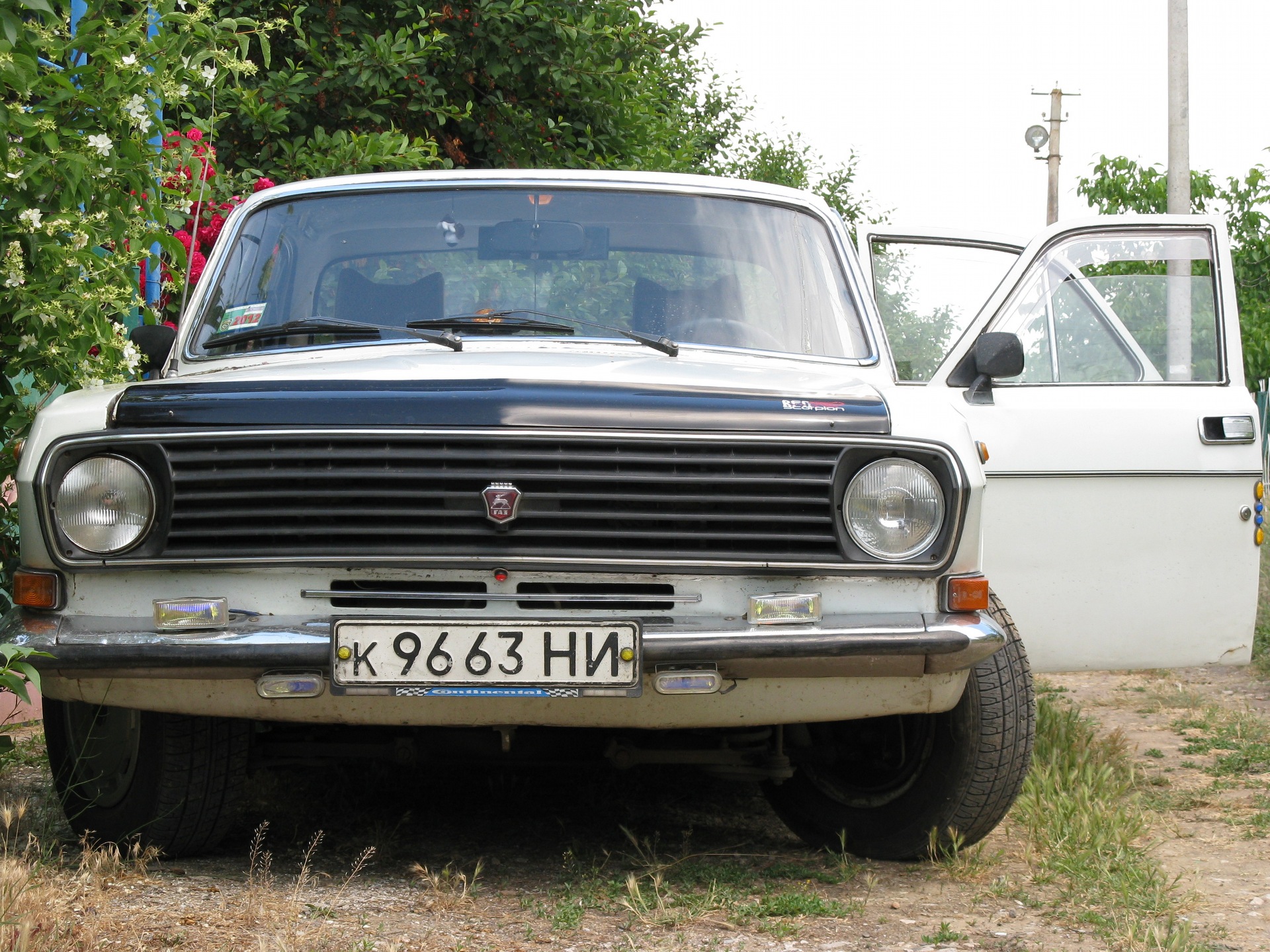 СВЕЖАТИНКА (фото) 1