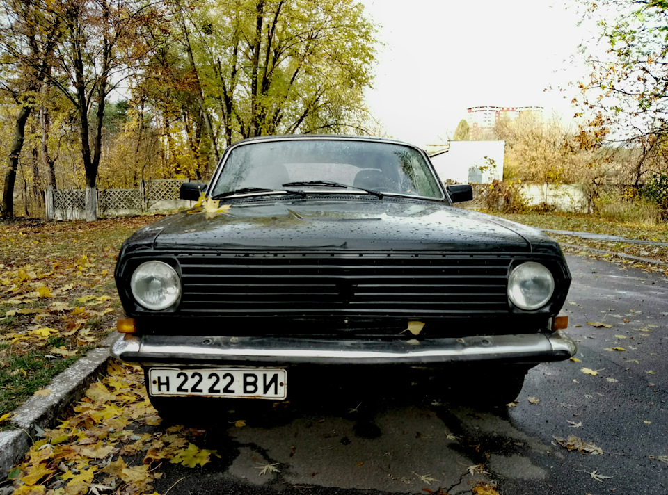 Трохи осінніх фото 4
