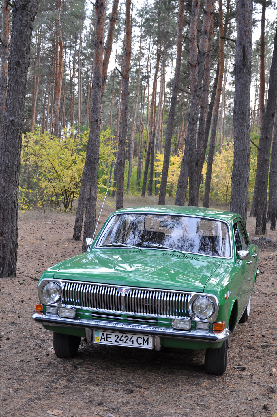 Іграшка на дачі 3