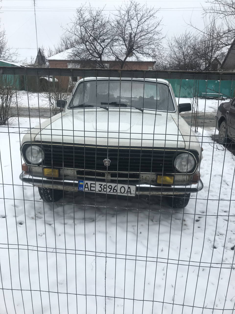 Забрав коритце 1