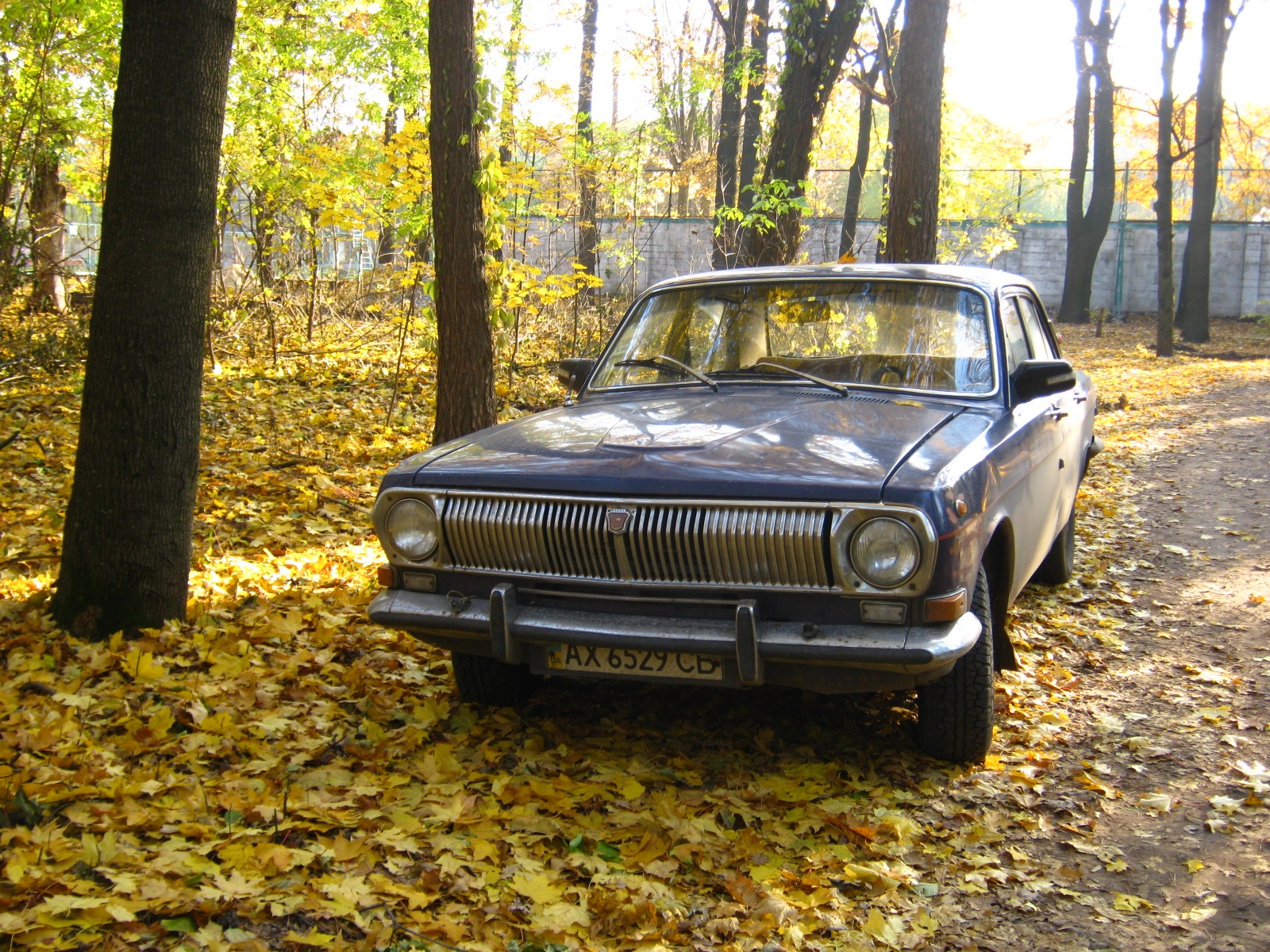 Гуляли. 1