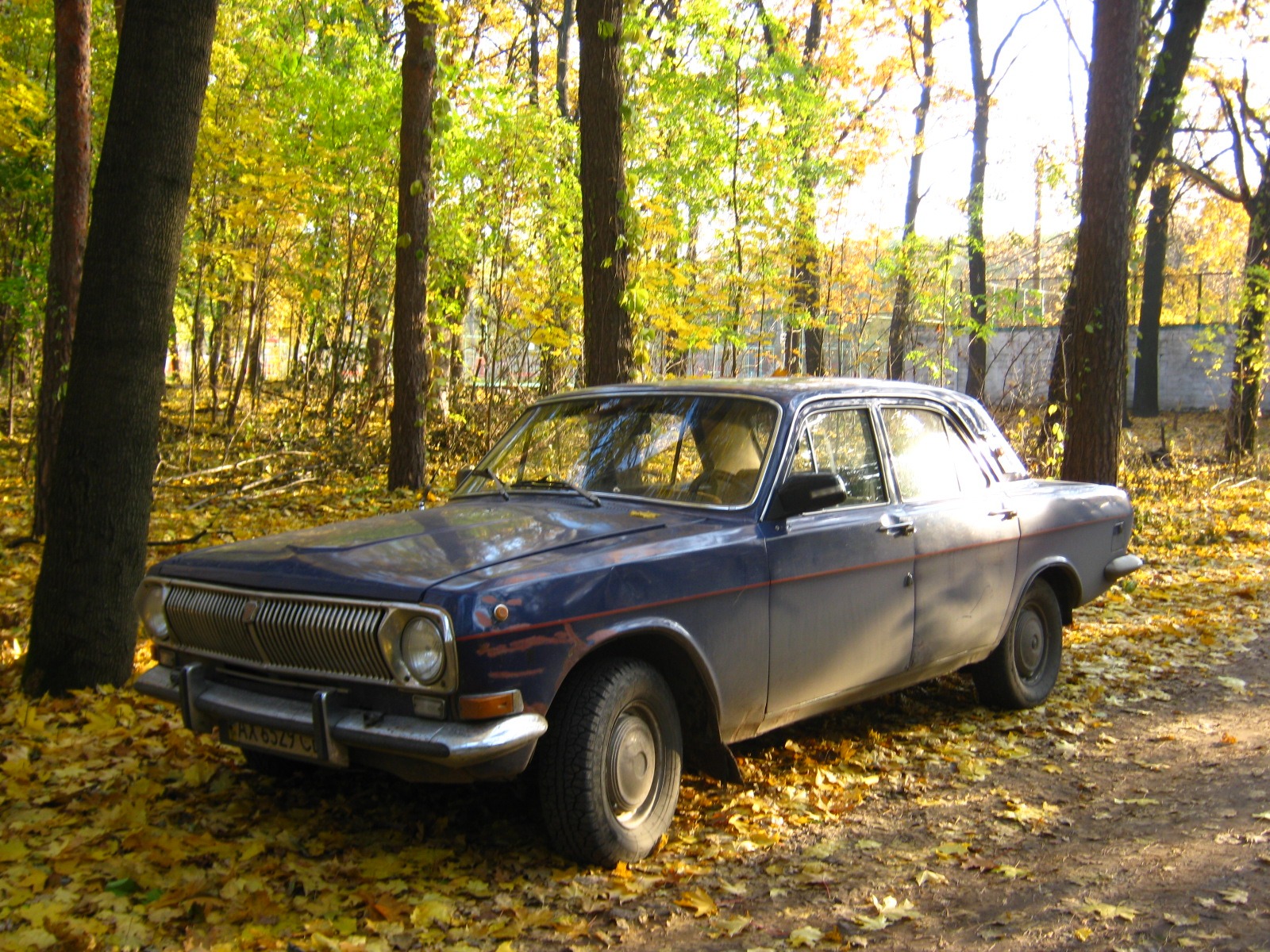 Гуляли. 2