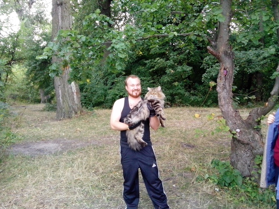 І світло згасло ... 3