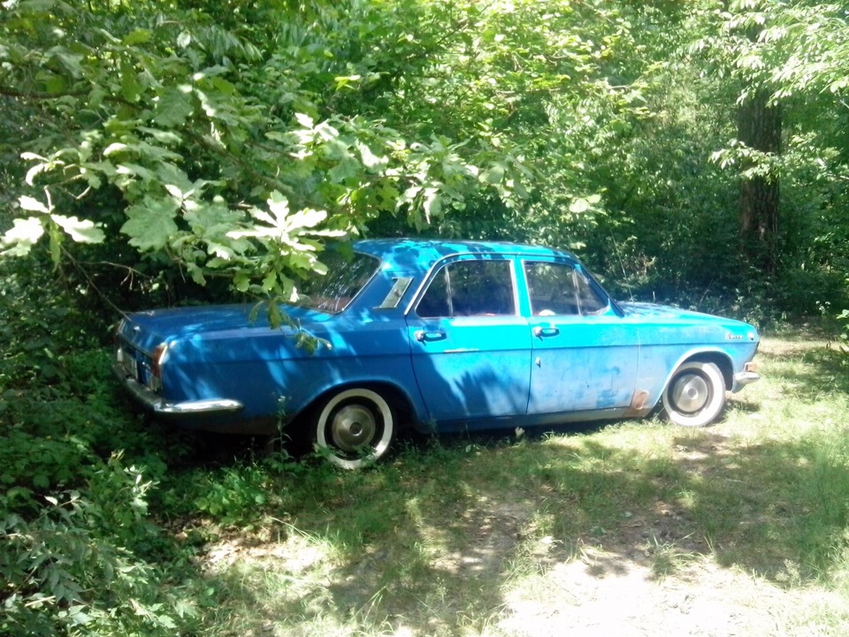 в лісок погуляти ... 3