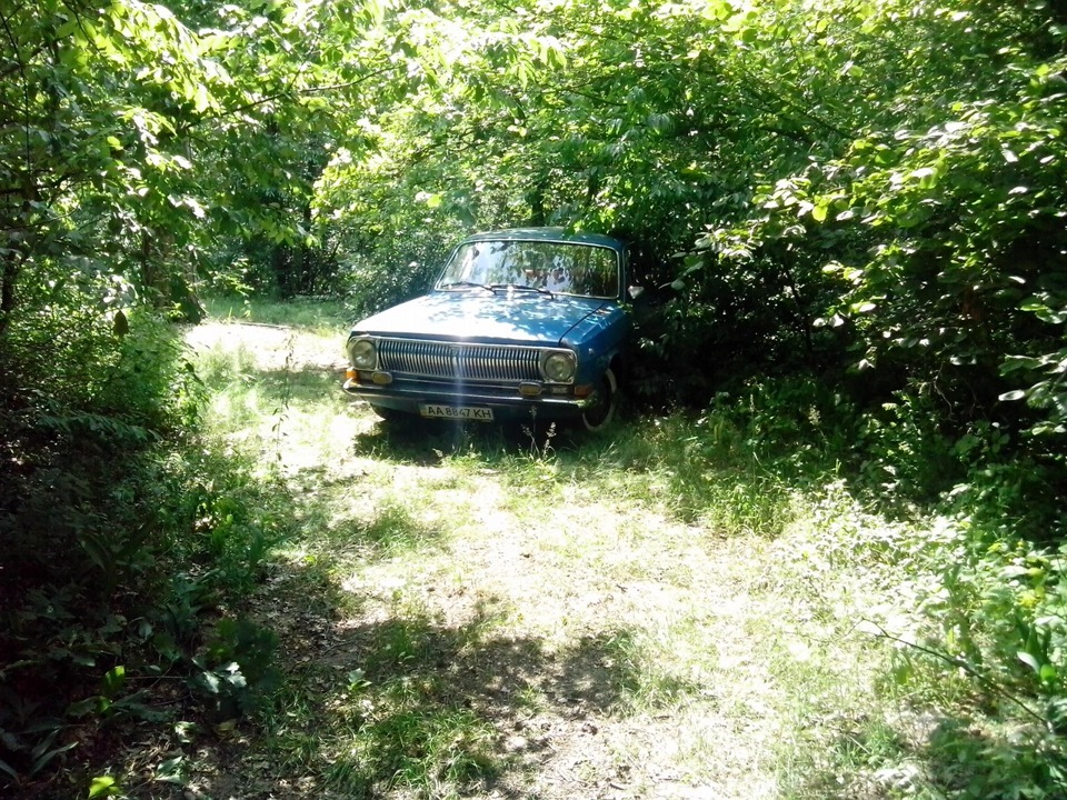 в лісок погуляти ... 2