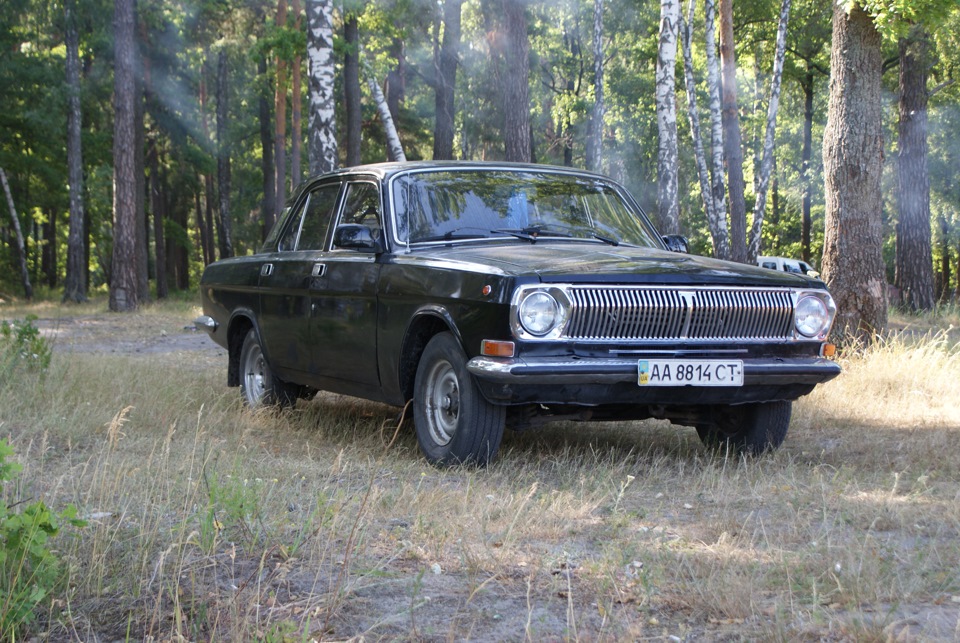 Змахнемо плісняву з БЖ 5