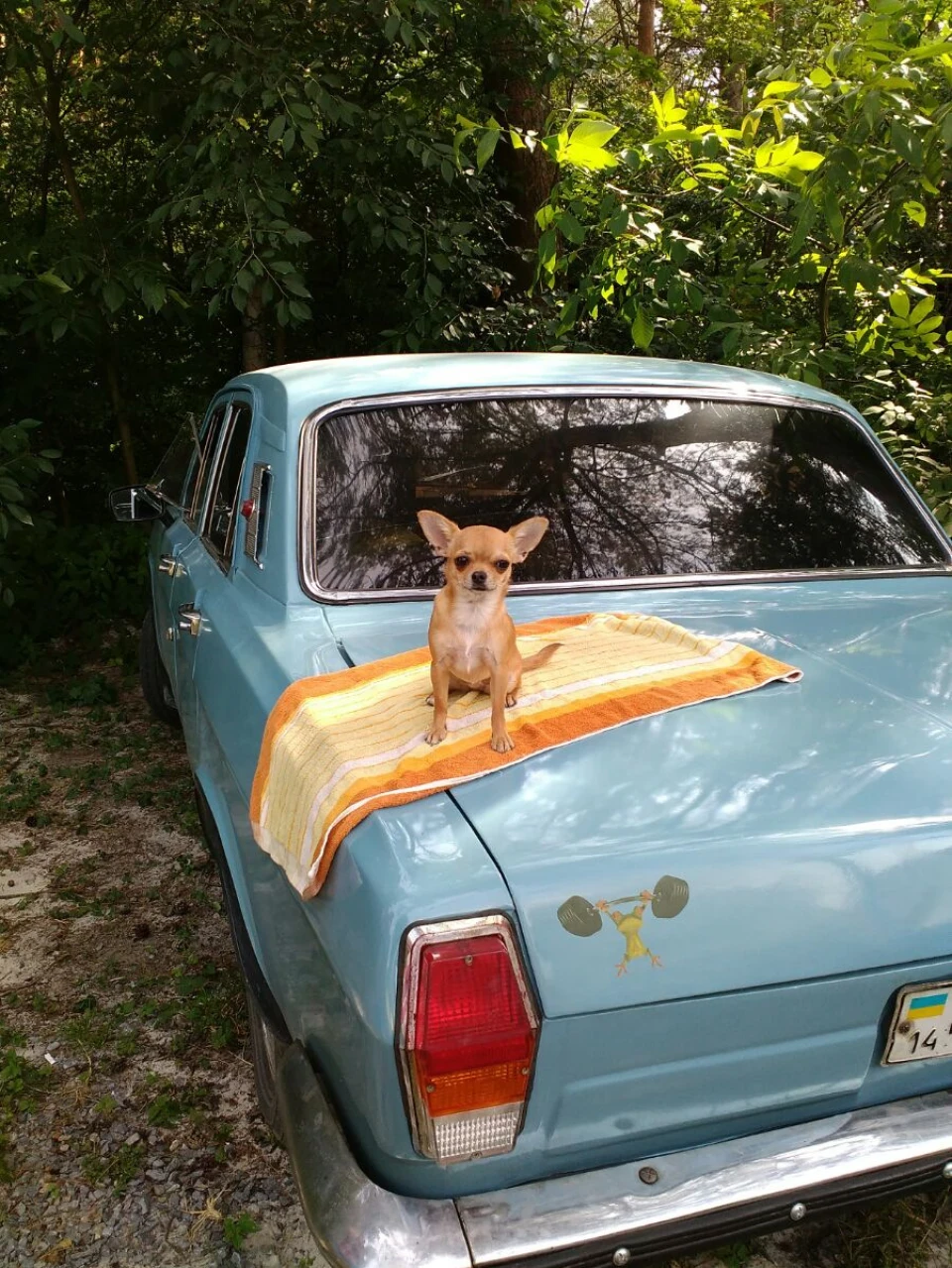 Маруська)