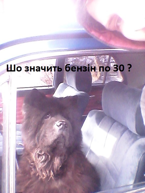 Повернувся з навчання, продовжуємо працювати 1