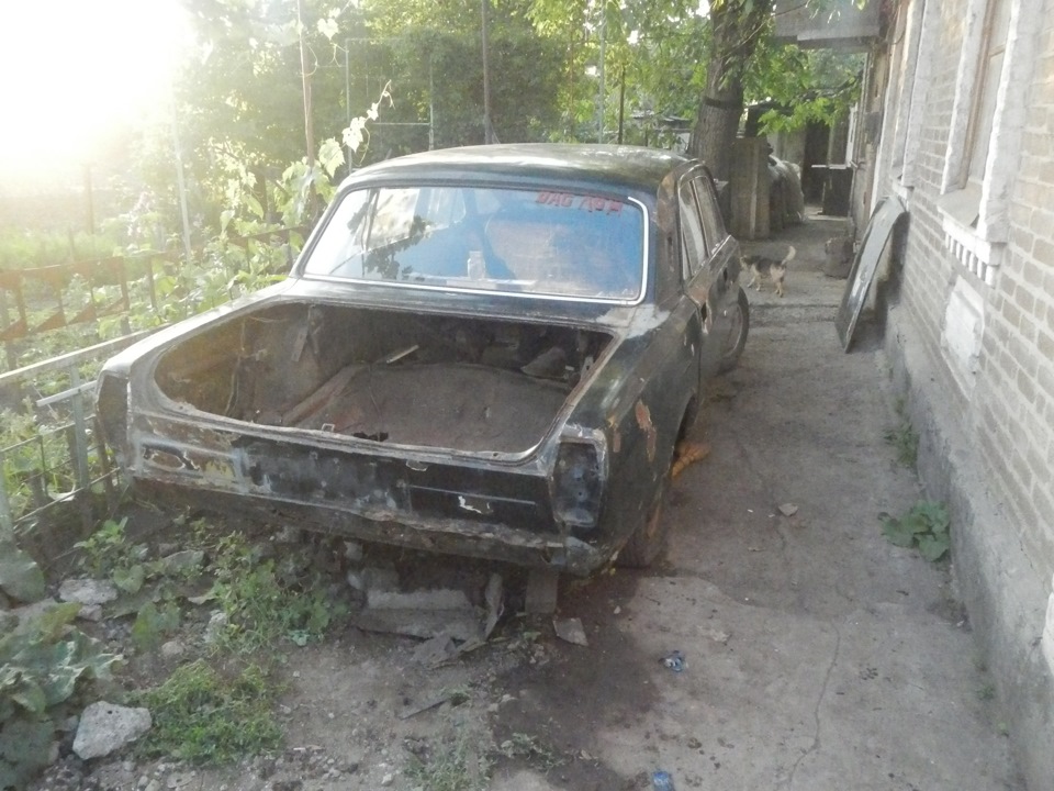Трохи фоток моєї гнилушки 1