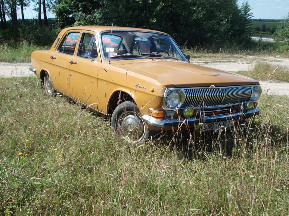 Перші покотушки з сім'єю 4