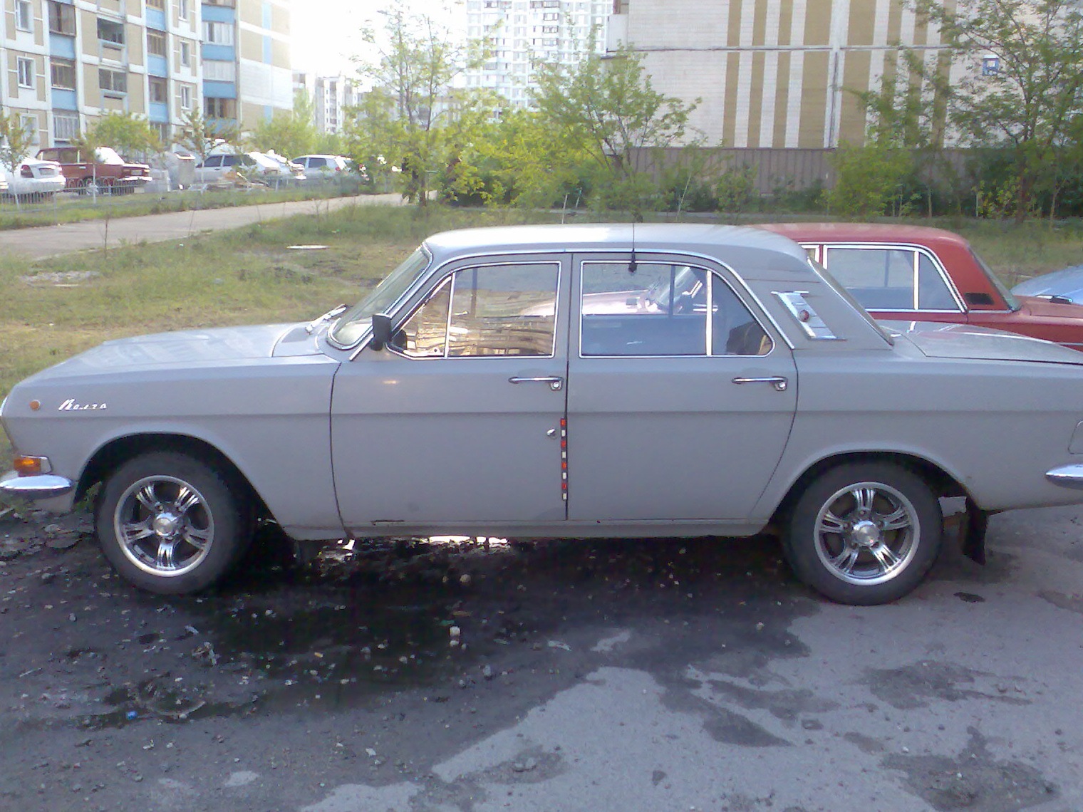 яка була моя шорстка 1