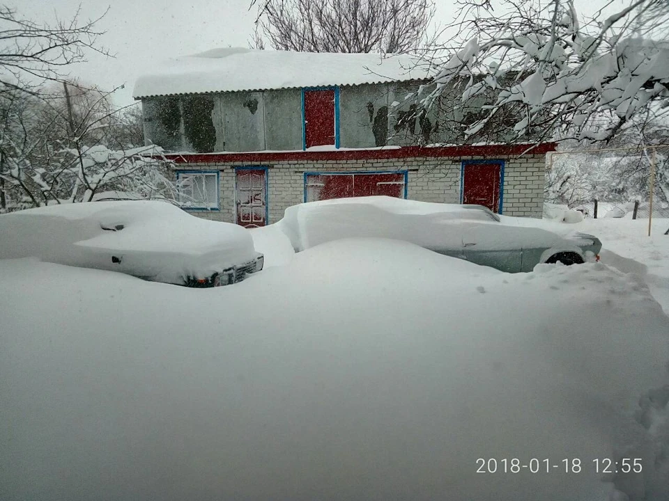 Волга стала универсалом